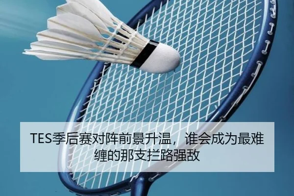 TES季后赛对阵前景升温，谁会成为最难缠的那支拦路强敌